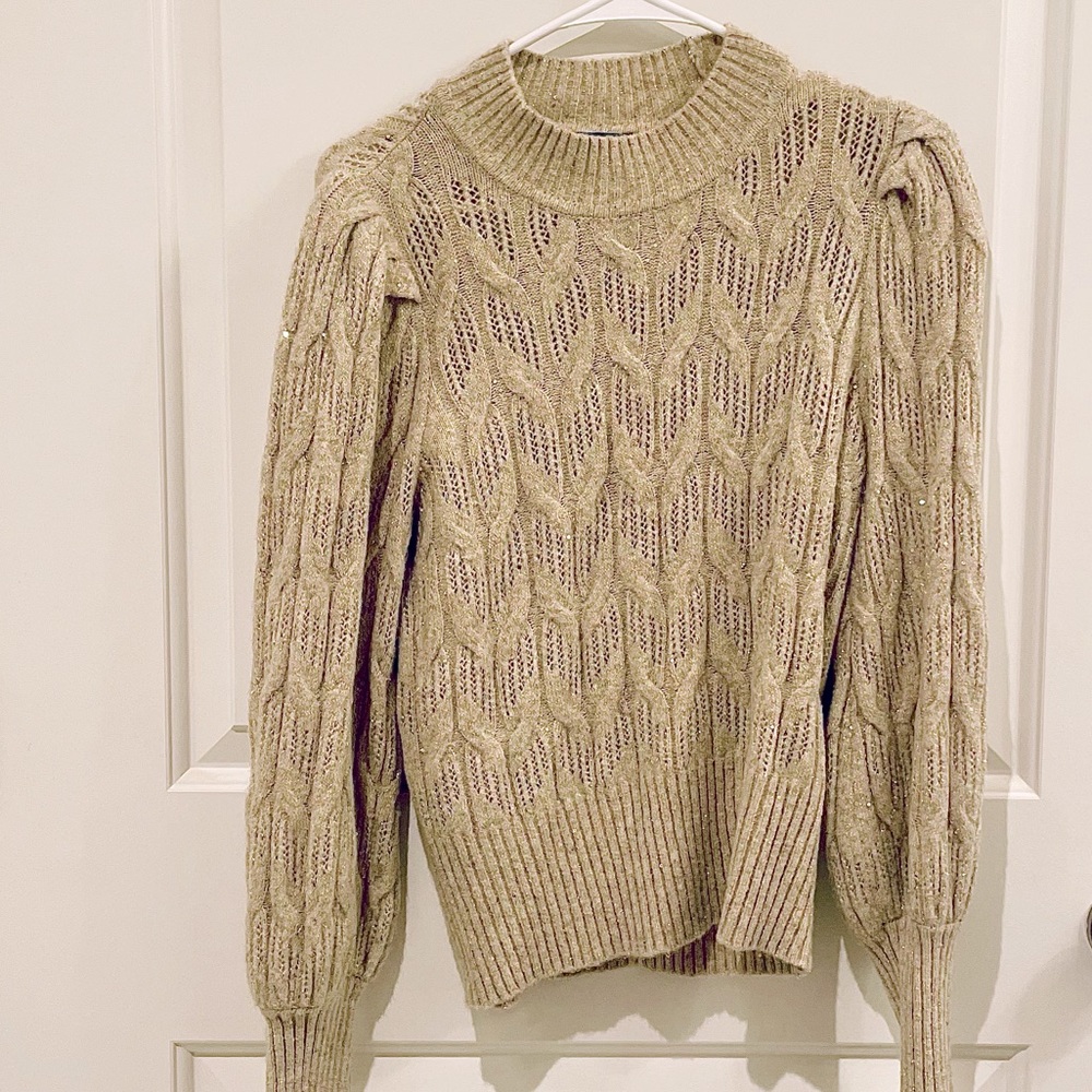 Express Shimmer Metallic Sweater